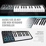 Alesis V25