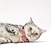 Necoichi Ninja Cat Collar (Red)