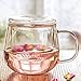 Cupwind 17 Ounce Borosilicate Glass Teacups with Infuser, Thickened Heat-Resistant Glass Tea Mug