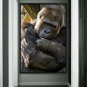 signwin Framed Canvas Wall Art Monkey Animals Expressive...