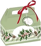 Creative Converting 4 Boxes Cookie Box with Carry Handle, Holly, Clear