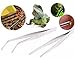 LeBeila Long Tweezers 12 Inch – Stainless Steel Tweezers Set 2PCS Straight and Curved Tip Gardening Nippers Feeding Forceps Tongs for Aquarium Fish Tank Aquatic Plants Reptile Snakes Lizards Spider