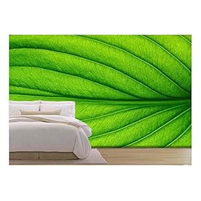 Close Up of Green Leaf Texture - Removable Wall Mural | Self-Adhesive Large Wallpaper - 66x96 inches