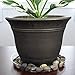 YOUniversal Products Plant Saucers (Pack of 5) - 14” Clear Durable Plant Saucer for Indoor & All-Weather Outdoor Use - Catch Dirt & Water from Plant Pots to Stop Messes & Stains in Your Home & Garden