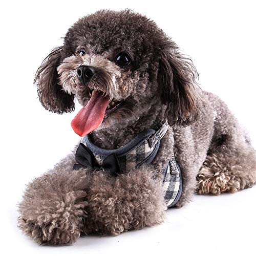 image for RYPET Small Dog Harness and Leash Set - No Pull Pet Harness with Soft 