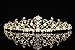 Flower Vine Design Bridal Tiara Crown - Clear Crystals Gold Plating T710