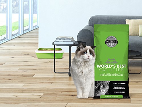 World's Best Cat Litter Clumping Litter Formula, 28-Pounds