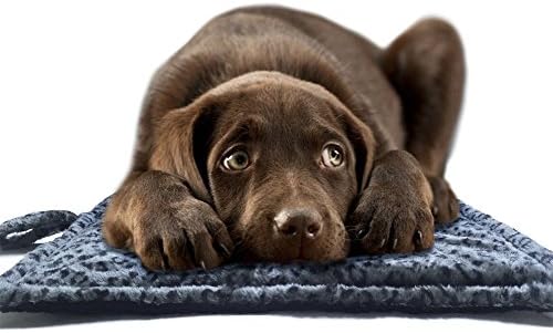 Petsw Dog and Cat Warmer Mat Pet Thermal Cat Mat Warm Mat Bed [Misc.]