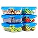 Elacra Glass Food Storage Containers [6-Pack, 28oz] - Glass Meal Prep Containers with Airtight and BPA-Free Locking Lids - 6 Glass Storage Containers & 6 Blue Lids
