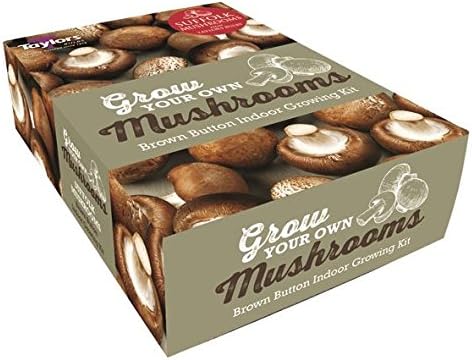 Taylors Large Brown (chestnut) Mushroom growing kit. Nothing else is needed!
