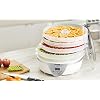 Gourmia-GFD1550-Food-Dehydrator-With-Digital-Temperature-Settings-Five-Nesting-Tray-Drying-System-for-Beef-Jerky-Fruits-and-More-BPA-Free-Plus-Free-Recipe-Book