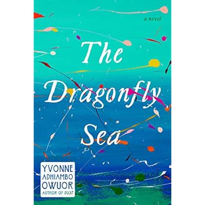 The Dragonfly Sea: A novel The Dragonfly Sea: A novel