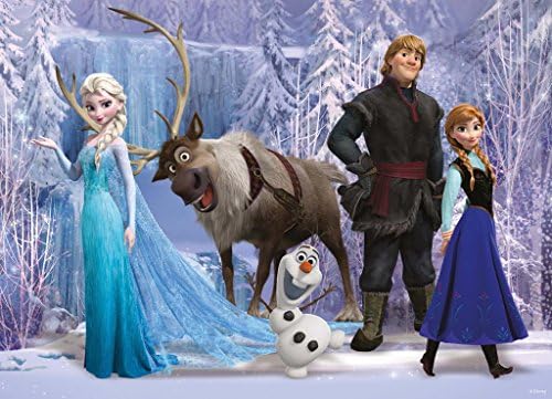 Disney FROZEN FEVER 2015 the Movie CAST Whole Group 3D cartoon Pillow Case Zippered custom 20" X 30" Brand New