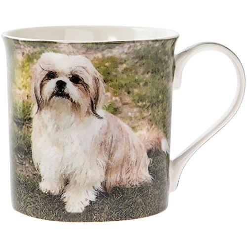 buy shih tzu online