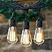 60W Edison Light Bulbs ST58 Filament Vintage Bulb Antique Style Incandescent Clear Glass Light Squirrel Cage Design E26/E27 Medium Base Lamp (4 Pack) for Chandeliers Wall Sconces Pendant Lighting
