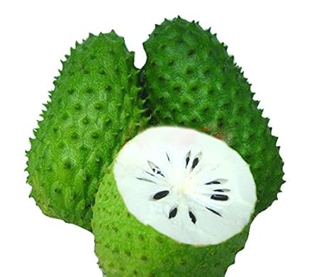 Nema Soursop Graviola Guanabana Annona Muricata Tropical Fruit Seeds - 20 Pcs