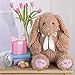 Vermont Teddy Bear Bunny Stuffed Animal - Soft Stuffed Animals, 20 Inch, Super Soft