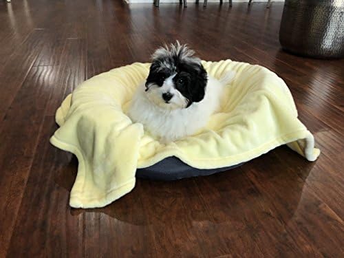 Higher Comfort Super Soft Premium Pet Blanket for Small Dogs, Puppies, Cats & Kittens - Youthful Yellow Pet Blanket - 30" x 40" - Great for Pet Beds and Carriers
