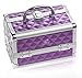 SHANY Chic Makeup Train Case Cosmetic Box Portable Makeup Case Cosmetics Beauty Organizer Jewelry storage with Locks, Multi trays Makeup Storage Box with Makeup Mirror - Purple