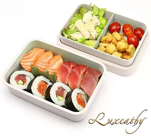 Luxcathy Natural Bamboo Fiber Airtight Leakproof 2-Layer Lunch Box for Adults or Kids (800-1000ML, Beige)