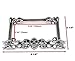 YuanKanJu Ekimo Chrome Metal 3-D Skull Flame Bones Motorcycle License Plate Frame (for Motorcycle only)