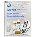 White Backing Waterslide Decals Inkjet Paper WHITE 10 Sheets Package :)