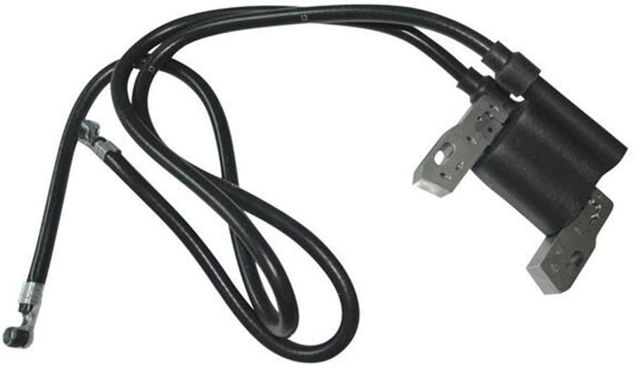 Best Briggs 460707 Lawn Mower Parts Ignition