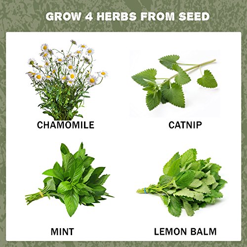 Patio, Lawn & Garden, Gardening & Lawn Care, Plants, Seeds & Bulbs, Vegetables