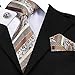 Hi-Tie 3 Pcs Mens Tie Set in Gift Box Necktie with Pocket Square and Cufflinks Silk Neck Tie Collection (T-905)