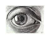 Pyramid America M.C. Escher Eye Poster 14x11 inch