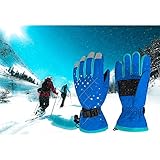 Waterfly Fashion Women's Femal Warm Waterproof Winter Outdoor Glove Cycling Gloves Biking Gloves Snowmobile Snowboard Ski Gloves Athletic Gloves Mittens