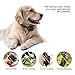 Dog Training Collar with Remote Control 100% Waterproof Rechargeable 900 ft No Bark Collar for Small Medium Large Dogs Beep Vibration Electric Dog Shock Collar