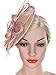 Vijiv Women Vintage Derby Fascinator Hat Pillbox Headband Feather Cocktail Tea Party