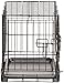 AmazonBasics Double-Door Folding Metal Dog Crate - 22 Inches