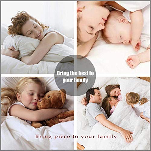 image for eBeddy Linens 800 Thread Count Ultra Silky Soft Egyptian Cotton King/C