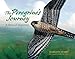 The Peregrine's Journey: A Story of Migration (A Story of Migration, 1)