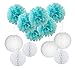 Furuix Baby Shower Decorations for Boy 16 pcs White Baby Blue Tissue Pom Pom Flower and Paper Lanterns First Birthday Party Decorations Frozen Baby Shower Party Decoration Set for Boy