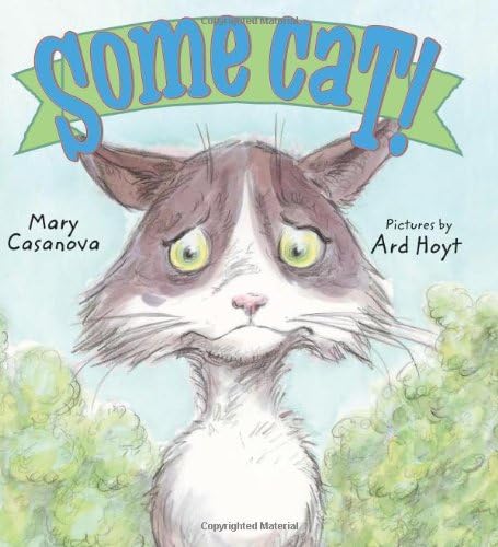 Some Cat!: A Picture Book