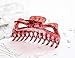 Prettyou Thick Hair Super Large Clips Crystal Plastic Claw Clamps Hairgrips Clips Accessories for Women, 2 pack. (E)
