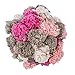 RED HEART Pomp-A-Doodle Yarn, Pinksand