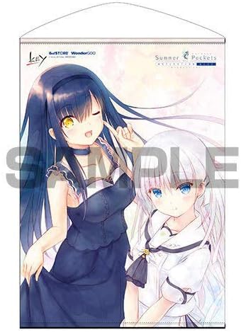 サマポケ アニメ サマポケ アニメ化