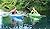 SUNDOLPHIN Sun Dolphin Aruba 10-Foot Sit-in Kayak