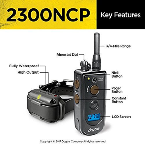 Dogtra 1 Dog Advance Training Collar 2300 NCP