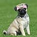 Mihachi Dog Hat - 2 Pack Pet Baseball Visor Cap Ear Holes Chin Strap Sport Play in Summer Small Dog Cat,Medium Size