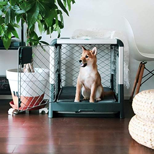 revol dog crate amazon