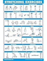 Póster de ejercicios de estiramiento QuickFit   doble cara (laminado, 18.0 x 27.0 in)