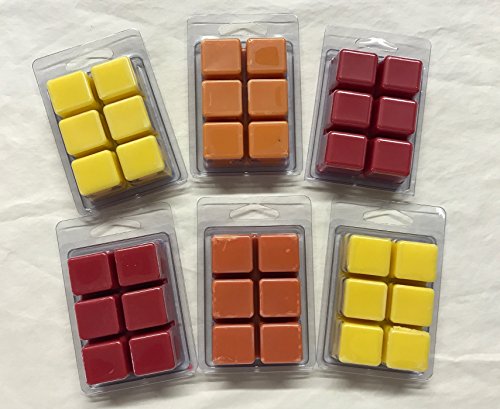 Coo Candles 6 Pack Soy Wickless Candle Wax Bar Tart Melts - Fruity Pack - Includes one 6 Cube Package of Each of Fruity Loops, Lemon Pucker, Mango Papaya, Pomegranate, Pineapple, and Apple Orchard