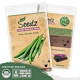 Organic Green Bean Seeds (APPR. 125) Green Bean - Heirloom Vegetable Seeds - Certified Organic, Non-GMO, Non Hybrid - USA