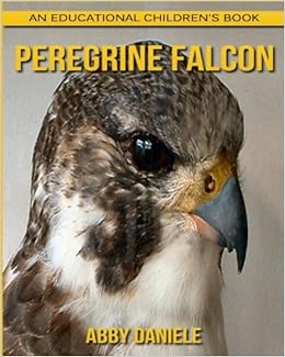 Peregrine Falcon An Educational Childrens Book About