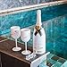 Moet Chandon Ice Imperial White Plastic Acrylic Goblet By Moet Version 2 Single-Sided